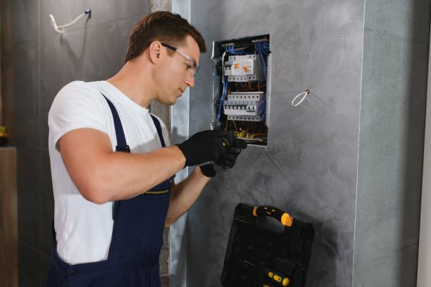 Best Electric Panel Repair  in Del Rio, TX